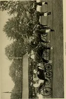 An illustration from Driving (1903)
