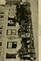 An illustration from Driving (1903)