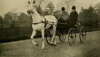 An illustration from Driving (1903)