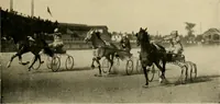 An illustration from Driving (1903)