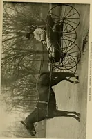 An illustration from Driving (1903)