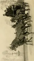 An illustration from Driving (1903)