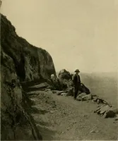 An illustration from Driving (1903)