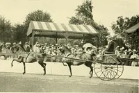 An illustration from Driving (1903)