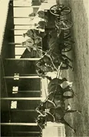 An illustration from Driving (1903)