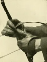 An illustration from Driving (1903)