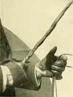 An illustration from Driving (1903)