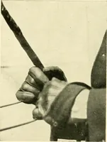 An illustration from Driving (1903)