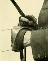 An illustration from Driving (1903)