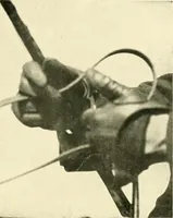 An illustration from Driving (1903)
