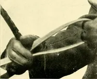 An illustration from Driving (1903)