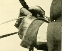 An illustration from Driving (1903)