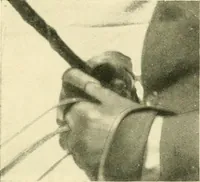 An illustration from Driving (1903)