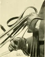 An illustration from Driving (1903)