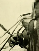 An illustration from Driving (1903)