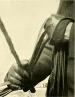 An illustration from Driving (1903)