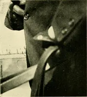 An illustration from Driving (1903)