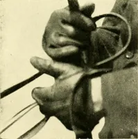 An illustration from Driving (1903)