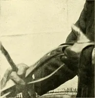 An illustration from Driving (1903)