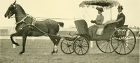 An illustration from Driving (1903)