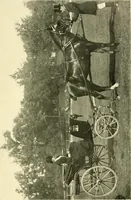 An illustration from Driving (1903)