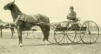 An illustration from Driving (1903)