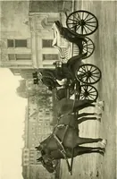 An illustration from Driving (1903)