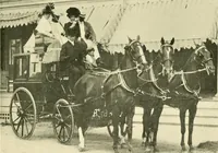 An illustration from Driving (1903)