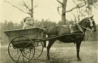 An illustration from Driving (1903)