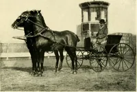 An illustration from Driving (1903)