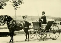An illustration from Driving (1903)