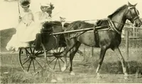 An illustration from Driving (1903)