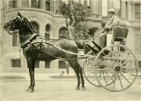 An illustration from Driving (1903)