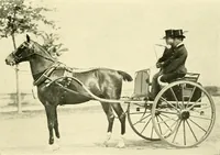 An illustration from Driving (1903)