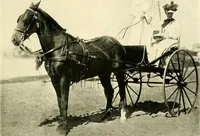 An illustration from Driving (1903)