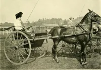 An illustration from Driving (1903)