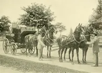 An illustration from Driving (1903)