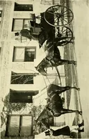 An illustration from Driving (1903)