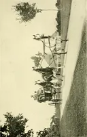 An illustration from Driving (1903)