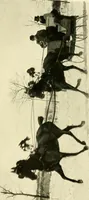 An illustration from Driving (1903)