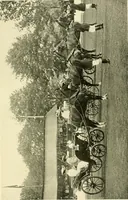 An illustration from Driving (1903)