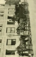 An illustration from Driving (1903)