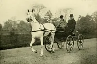 An illustration from Driving (1903)