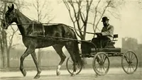 An illustration from Driving (1903)