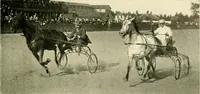 An illustration from Driving (1903)