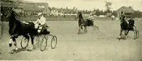 An illustration from Driving (1903)