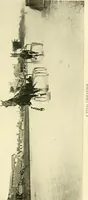 An illustration from Driving (1903)