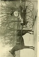 An illustration from Driving (1903)
