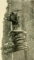 An illustration from Driving (1903)