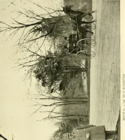 An illustration from Driving (1903)